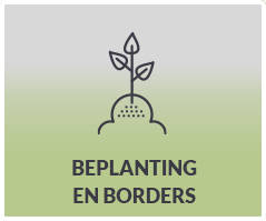 beplanting-borders-walstra-onnderhoud